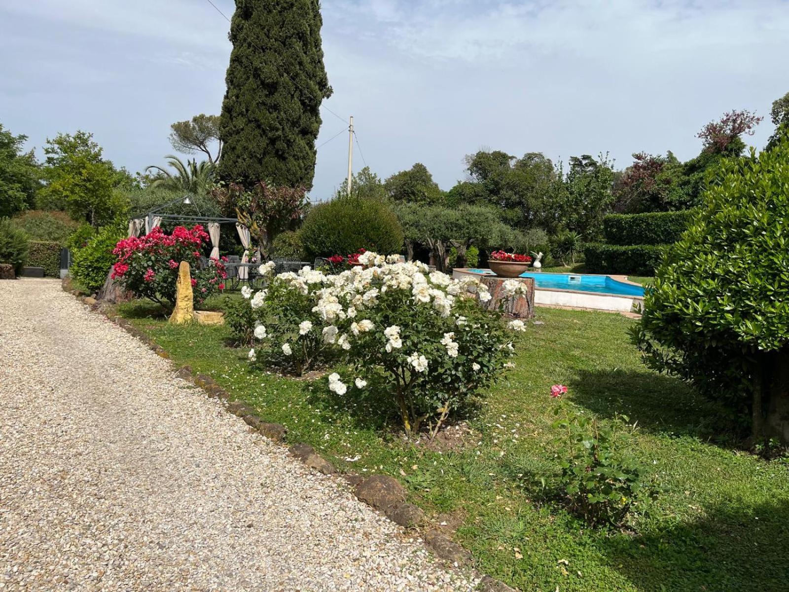 Loft Appia Antica Donna Eugenia Διαμέρισμα Ρώμη Εξωτερικό φωτογραφία